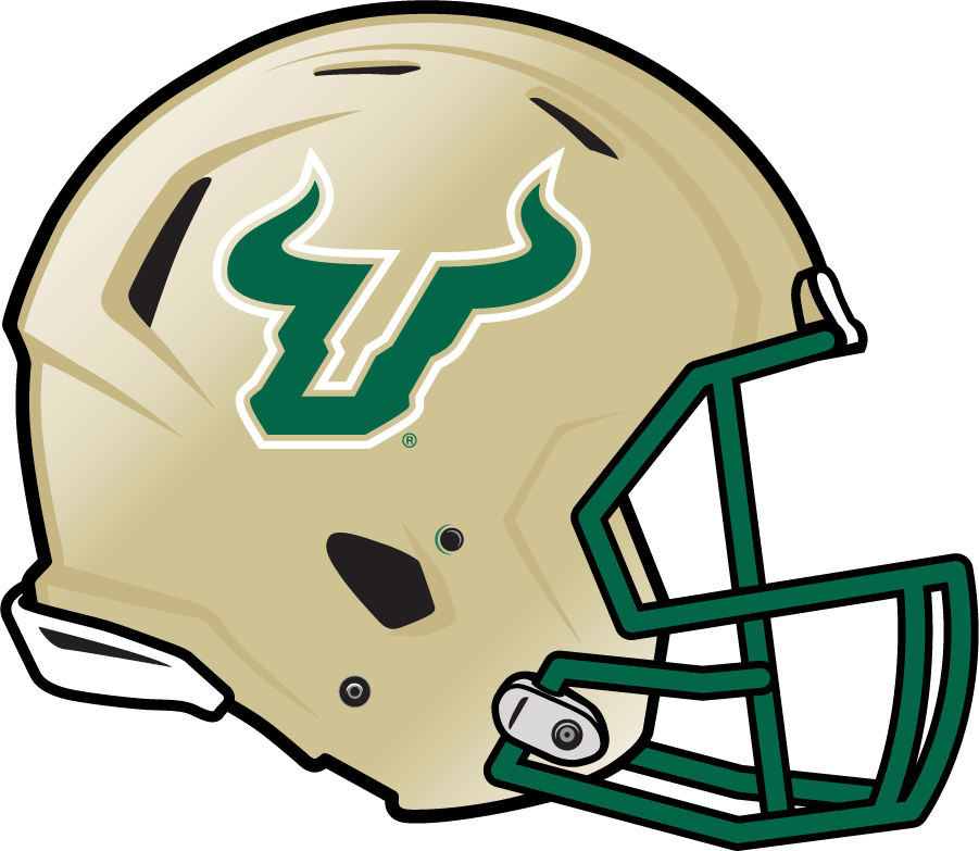 South Florida Bulls 2011-2013 Helmet diy iron on heat transfer